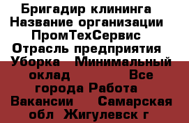 Бригадир клининга › Название организации ­ ПромТехСервис › Отрасль предприятия ­ Уборка › Минимальный оклад ­ 30 000 - Все города Работа » Вакансии   . Самарская обл.,Жигулевск г.